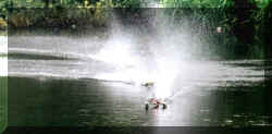 h14.JPG (48218 Byte)