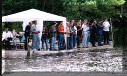 s14.JPG (259983 Byte)