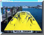orginalwilde03.jpg (20969 Byte)